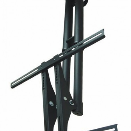 NEWSTAR FLAT SCREEN CEILING MOUNT (HEIGHT: 64-104 CM) 37-75" BLACK