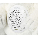 Plush projector toy Bear