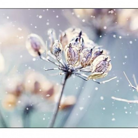 Professional monitor VM46B-U 46 inch Video wall Mat 24h/7 500(cd/m2) 1920 x 1080(FHD) N/A 3 years On