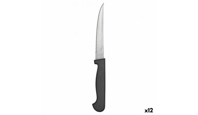 Meat Knife Amefa Metal Bicoloured 21 cm 12 Units