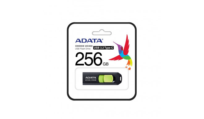 Pendrive UC300 256GB USB3.2-C Gen1 mälupulk