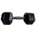 Outliner dumbbell 10kg YLDB35