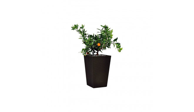 Keter Rattan Planter L 144 8L puķu pods  brūns 29192302590