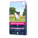 Šuniukas ėriena ir ryžiai mažiems ir vidutiniams šunims 12 kg, Eukanuba