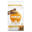 Kuiv täissööt IAMS CAT Adult Hairball Control 3kg kassidele