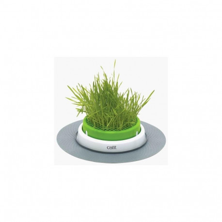 Трава для кошек + миска Catit Design Senses Grass Garden Kit