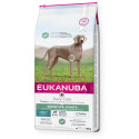 Suaugusi vištiena jautrių sąnarių šunims 12kg, Eukanuba