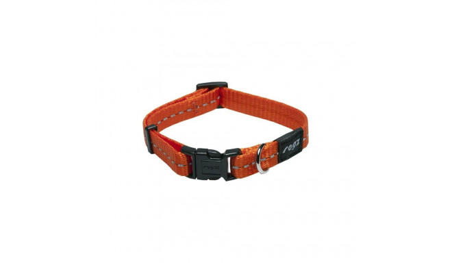 Antkaklis šuniui Nitelife 11mm/20-31cm, oranžinis, Rogz
