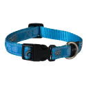 Collar Rogz Fancy Dress M 16mm Scooter, Turquoise Paw pattern