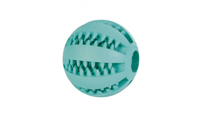 Mänguasi koertele DentaFun pall piparmündi maitsega 7cm