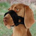 Muzzle loop, nylon, XL, black