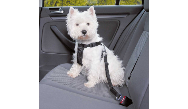 Traksid autosse, S: 30-60 cm, must