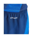 Adidas Tiro 24 Competition Match M shorts IQ4754 (XL)