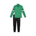 Puma Team Rise M tracksuit 658653 05 (S)