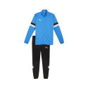 Puma Team Rise M tracksuit 658653 02 (M)