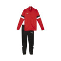 Puma Team Rise M tracksuit 658653 01 (L)