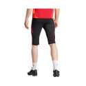 Adidas Tiro 24 Competition 1/2 M shorts IR5491 (S)