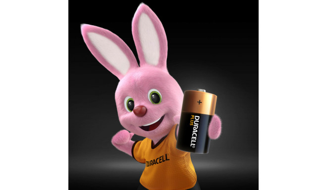 Elementai DURACELL R14A/DUR-BL2 (C), 2vnt., alkaline, 1,5V.