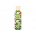 Victoria´s Secret Melon Drench (250ml)