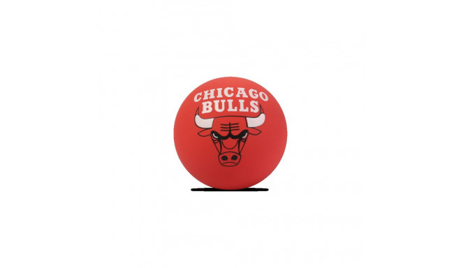 Põrkepall NBA Spalding Spaldeen NBA Chicago Bulls punane