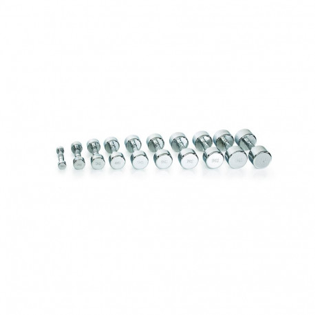 Hantel Gymstick Pro Chrome Dumbbell 10 kg