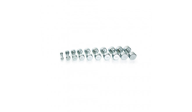 Hantel Gymstick Pro Chrome Dumbbell 9 kg