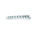 Hantel Gymstick Pro Chrome Dumbbell 1 kg