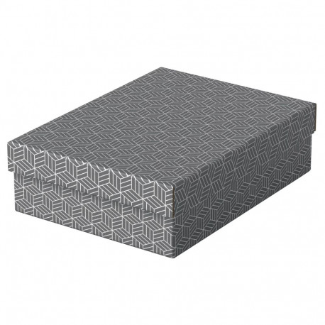 Hoiukast kaanega ESSELTE Home Storage Box (265 x 100 x 360 mm) 3tk pakis
