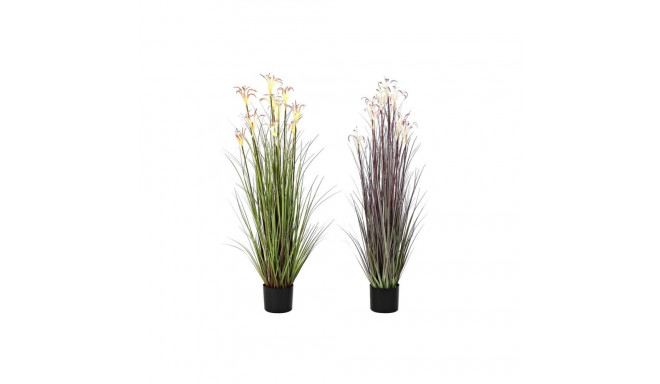 Dekoratiivne Taim DKD Home Decor Metall Oranž Roheline Burgundiapunane PVC 35 x 35 x 114 cm (2 Ühiku