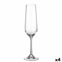 Glāžu Komplekts Bohemia Crystal Sira champagne 200 ml 6 gb. 4 gb.