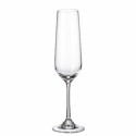 Набор рюмок Bohemia Crystal Sira champagne 200 ml 6 штук 4 штук