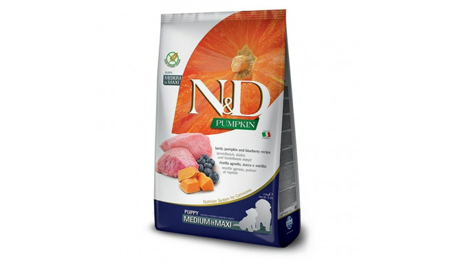 Fodder Farmina N&D Kid/Junior Blueberry Lamb 2,5 kg