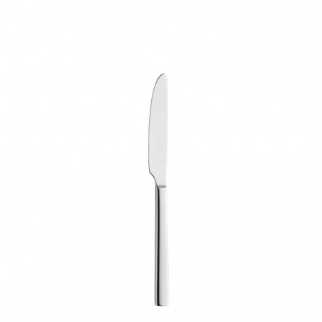 Set of Dessert Knives Amefa Martin Steel Metal (12 Units)