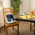 Highchair Ingenuity Blue Natural rubber