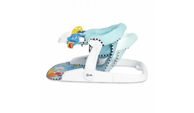 Hammock Baby Einstein Blue