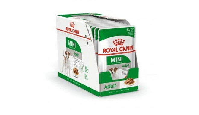 Mitrs ēdien Royal Canin Mini Adult 12 x 85 g