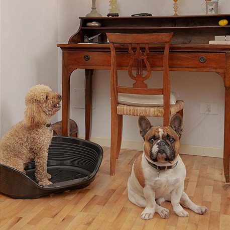 Koera voodi Ferplast Siesta Deluxe 6 Must 70,5 x 52 x 23,5 cm