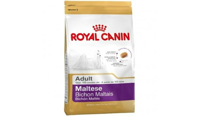 Sööt Royal Canin Täiskasvanu Mais Linnud 500 g