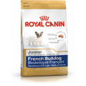 Sööt Royal Canin French Bulldog Junior Laps/Noor 3 Kg
