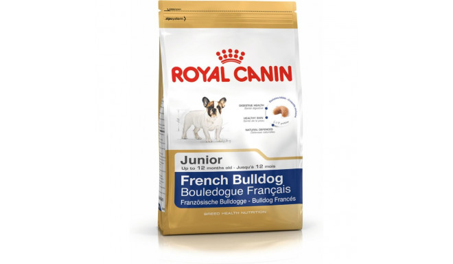 Sööt Royal Canin French Bulldog Junior Laps/Noor 3 Kg