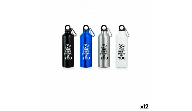 Bottle Bewinner Aluminium 750 ml 0,75 L 7,5 x 24 cm (12 Units)