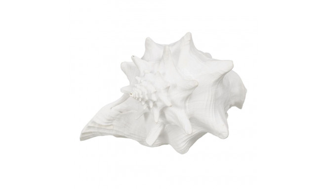 Decorative Figure White Snail 21 x 19 x 13 cm