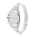 Ladies' Watch Calvin Klein 25200 - Silver