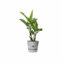 Taimepott Elho Hall Plastmass Ringjas Kaasaegne Ø 47 cm