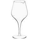 Wine glass