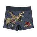 Boys Swim Shorts Jurassic Park Dark grey - 4 Years