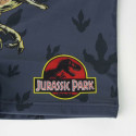 Boys Swim Shorts Jurassic Park Dark grey - 4 Years