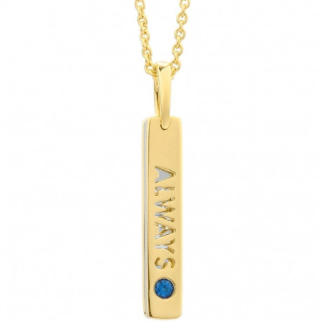 Ladies' Necklace Secrecy P7162CDAWWC03 42 cm