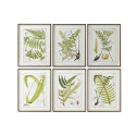 Glezna Home ESPRIT Moderns Papardes 50 x 2,5 x 65 cm (6 gb.)