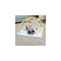 Fisher-Price Simply Senses Newborn Gym